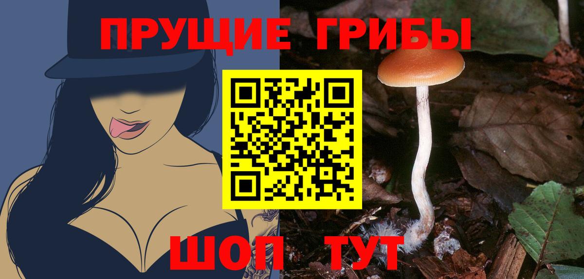 Псилоцибиновые грибы мухоморы  Вход с VPN  наркота  Кудрово 